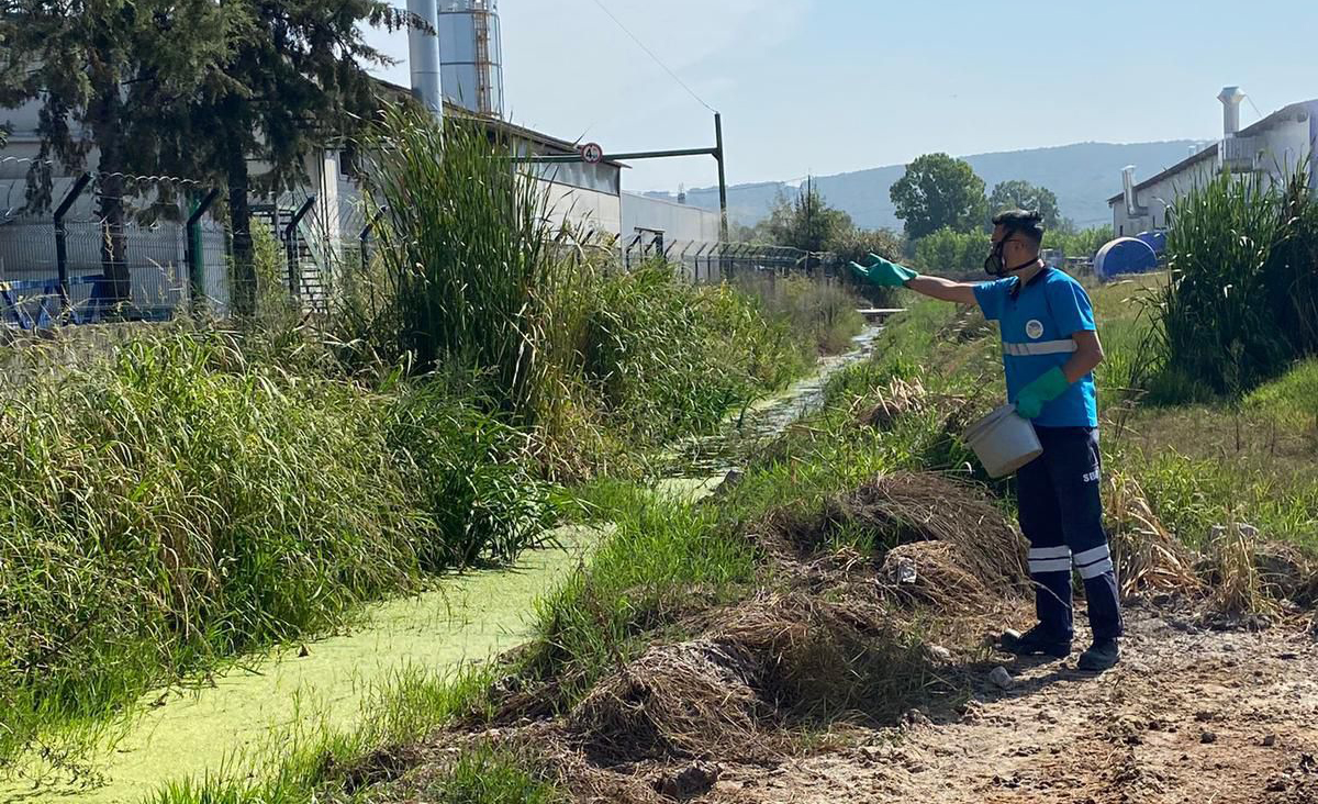 Büyükşehir’in müdahale timi her köşe başında haşereyle mücadelede