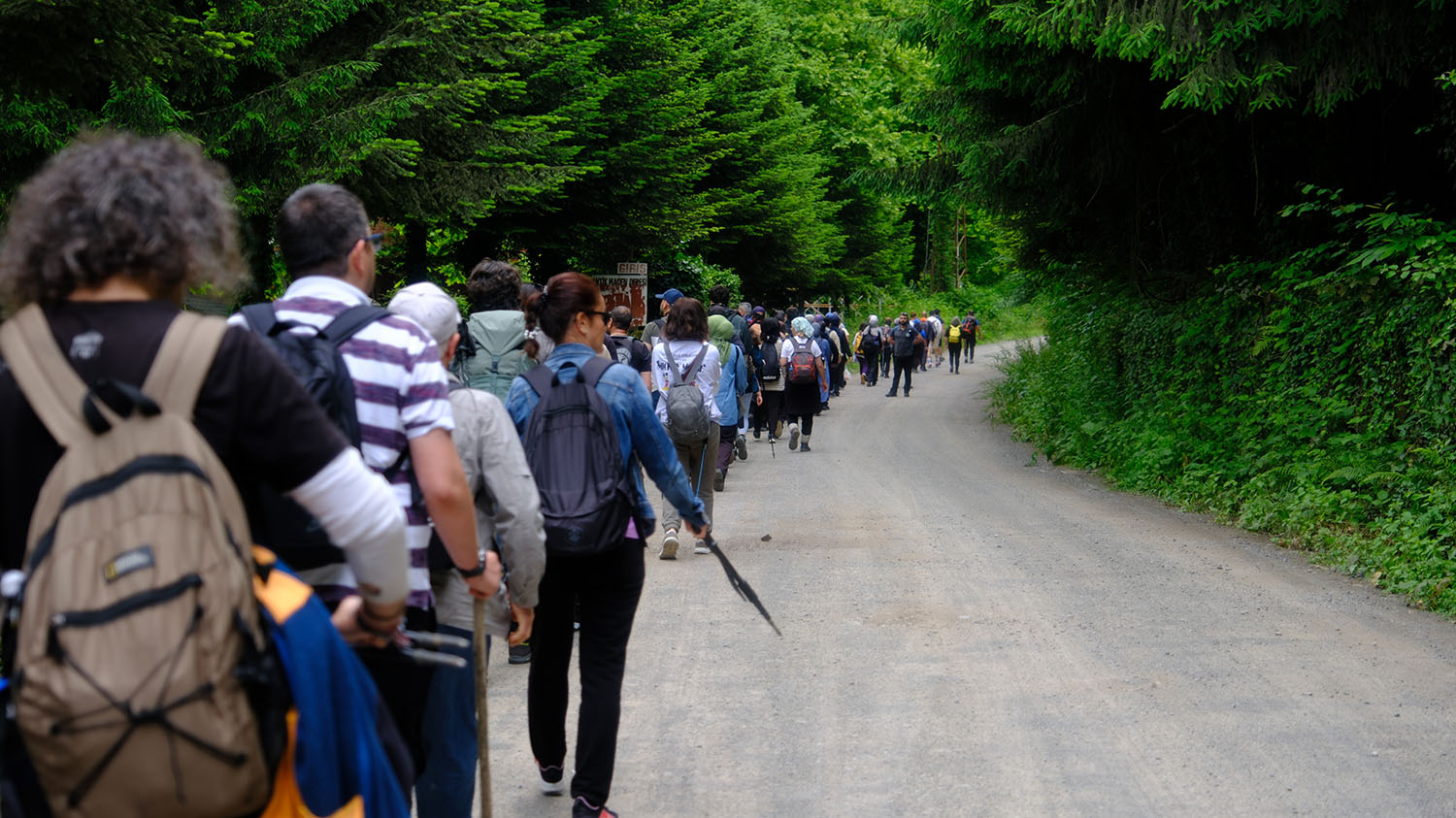 Sakarya’nın en büyüleyici güzergahında unutulmaz bir deneyim