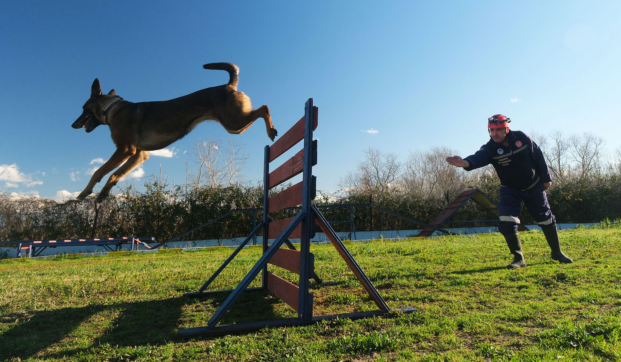 Reina, Ateş, Google ve Qill en zor anda ‘umut’ olmak için hep hazır kıta
