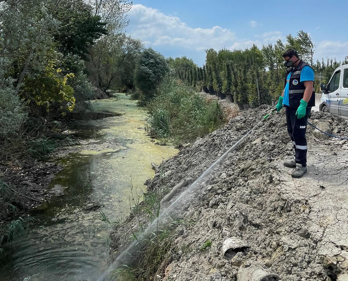 Büyükşehir her köşe başında: Dere yatakları, kanallar, bataklıklar ve göletlere tek tek ulaşıyorlar