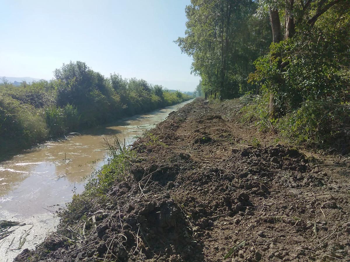 Büyükşehir bu müdahaleyle çiftçinin alın terini ve toprağın bereketini koruyor