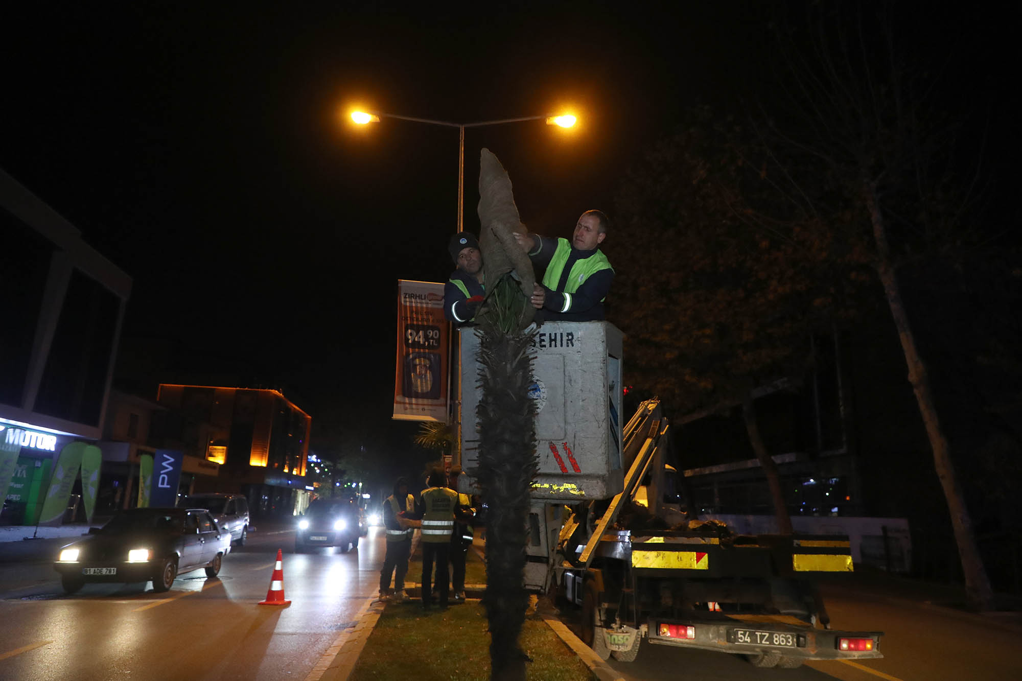 Büyükşehir’den şehrin süsü palmiyeler için dondurucu soğuklara karşı özel önlem