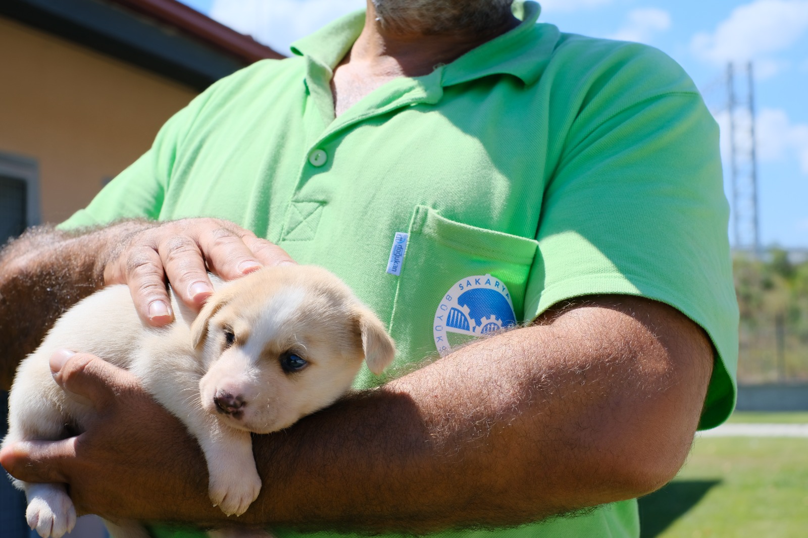 2024’te can dostların derdine deva hastalığına şifa oldular: Kedi, köpek, tavşan, sincap…