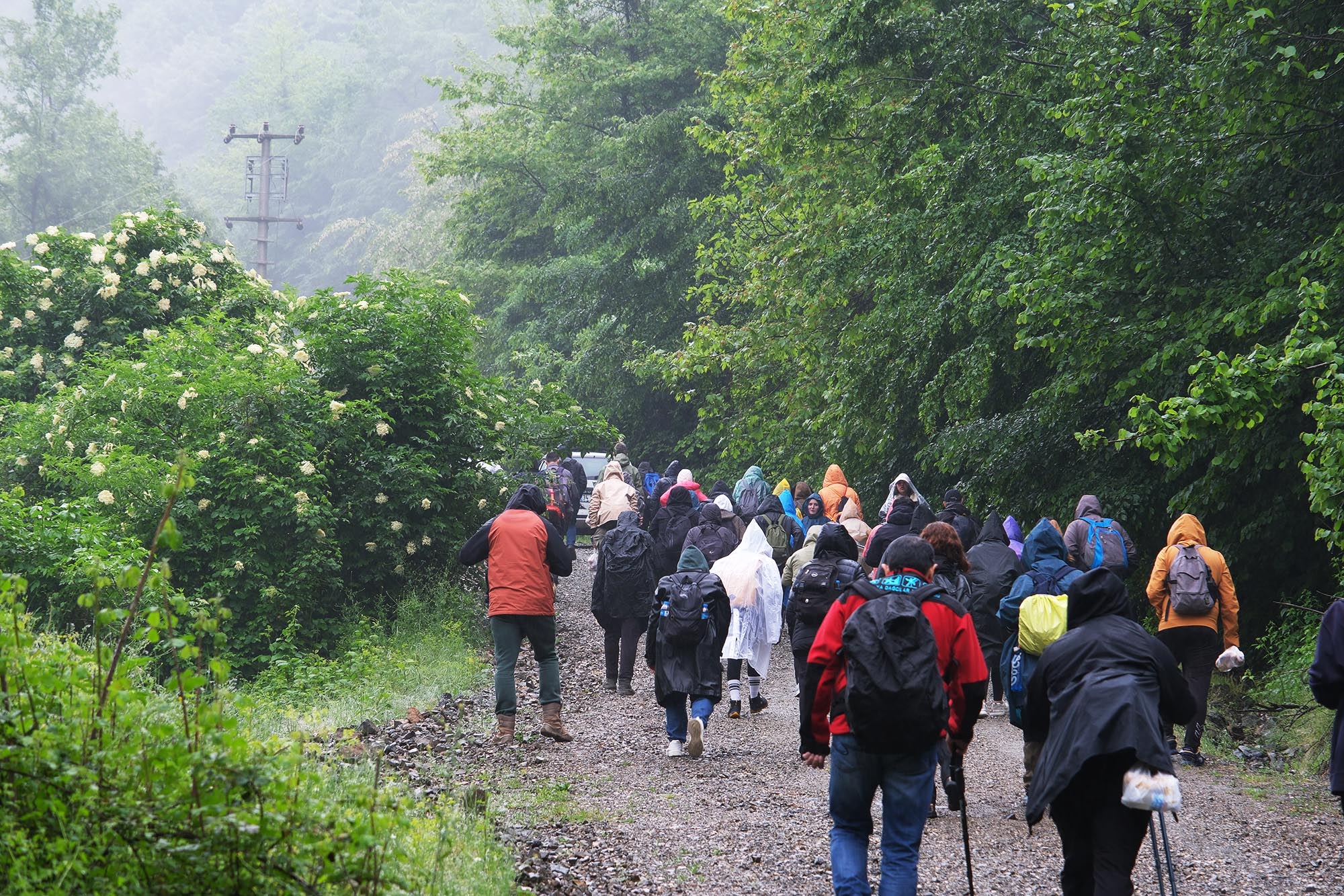 Doğanın kalbinde stresten izole bir gün: Zorlu parkur Doğançay Şelalesi’ne çıktı