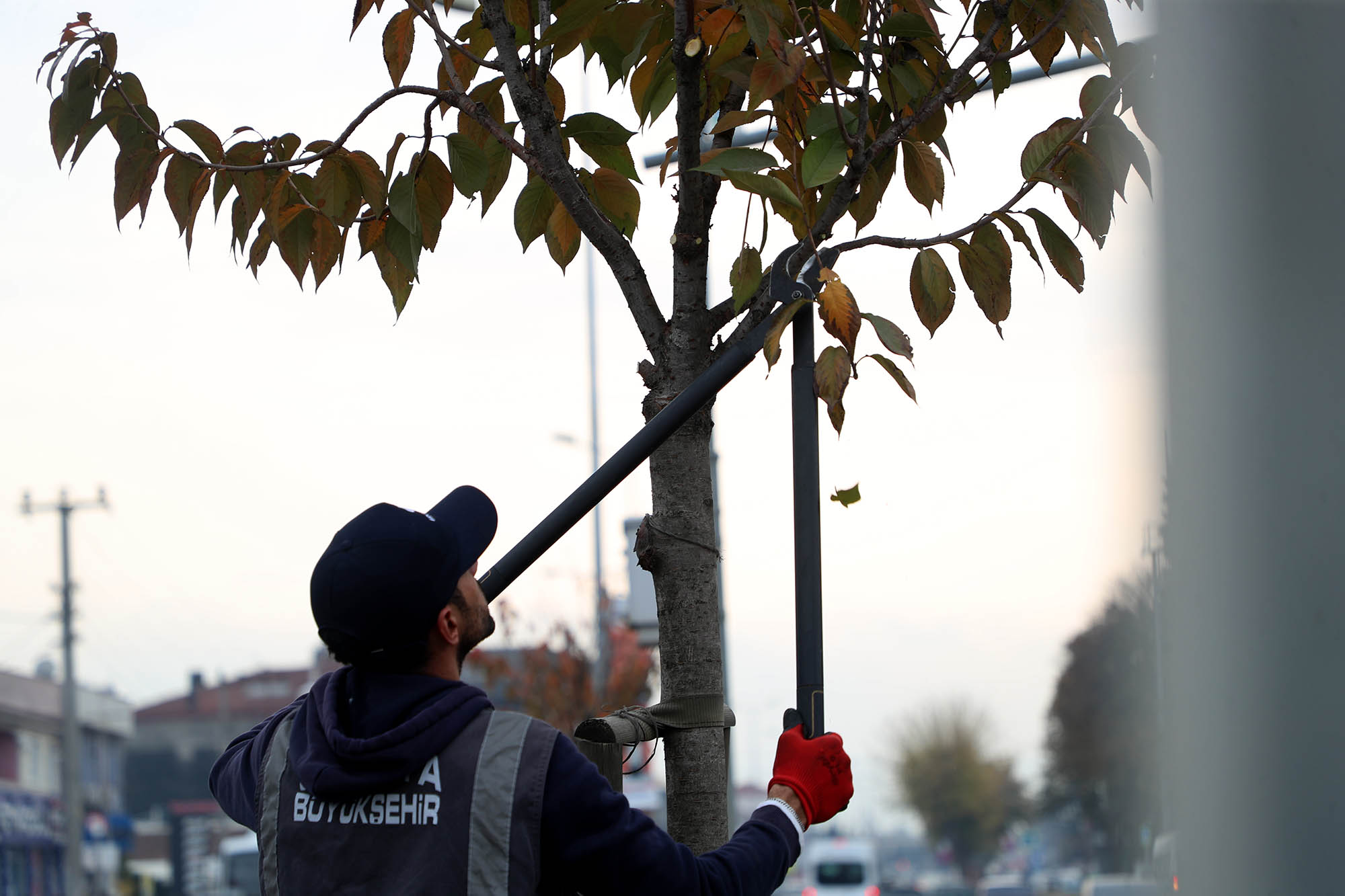 Büyükşehir Sakarya’yı yaza hazırlıyor