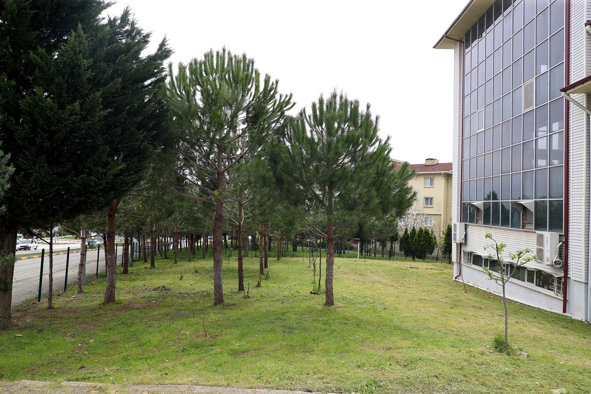 Büyükşehir’in dokunuşuyla camiler bayram öncesi çiçek açıyor