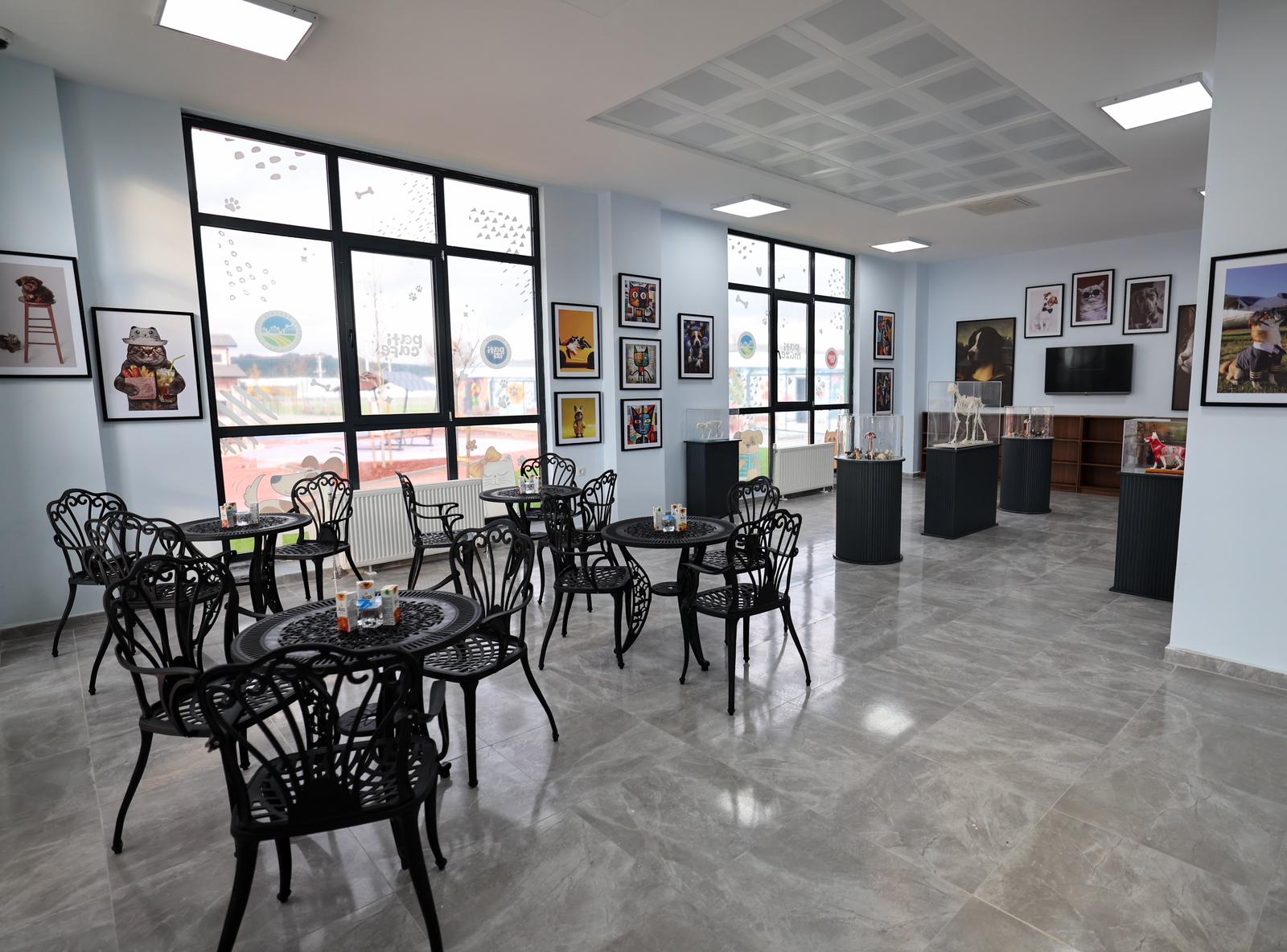 “Sokak Hayvanları Doğal Yaşam Kampüsü ile Sakarya’mız yine bir ilke imza attı”