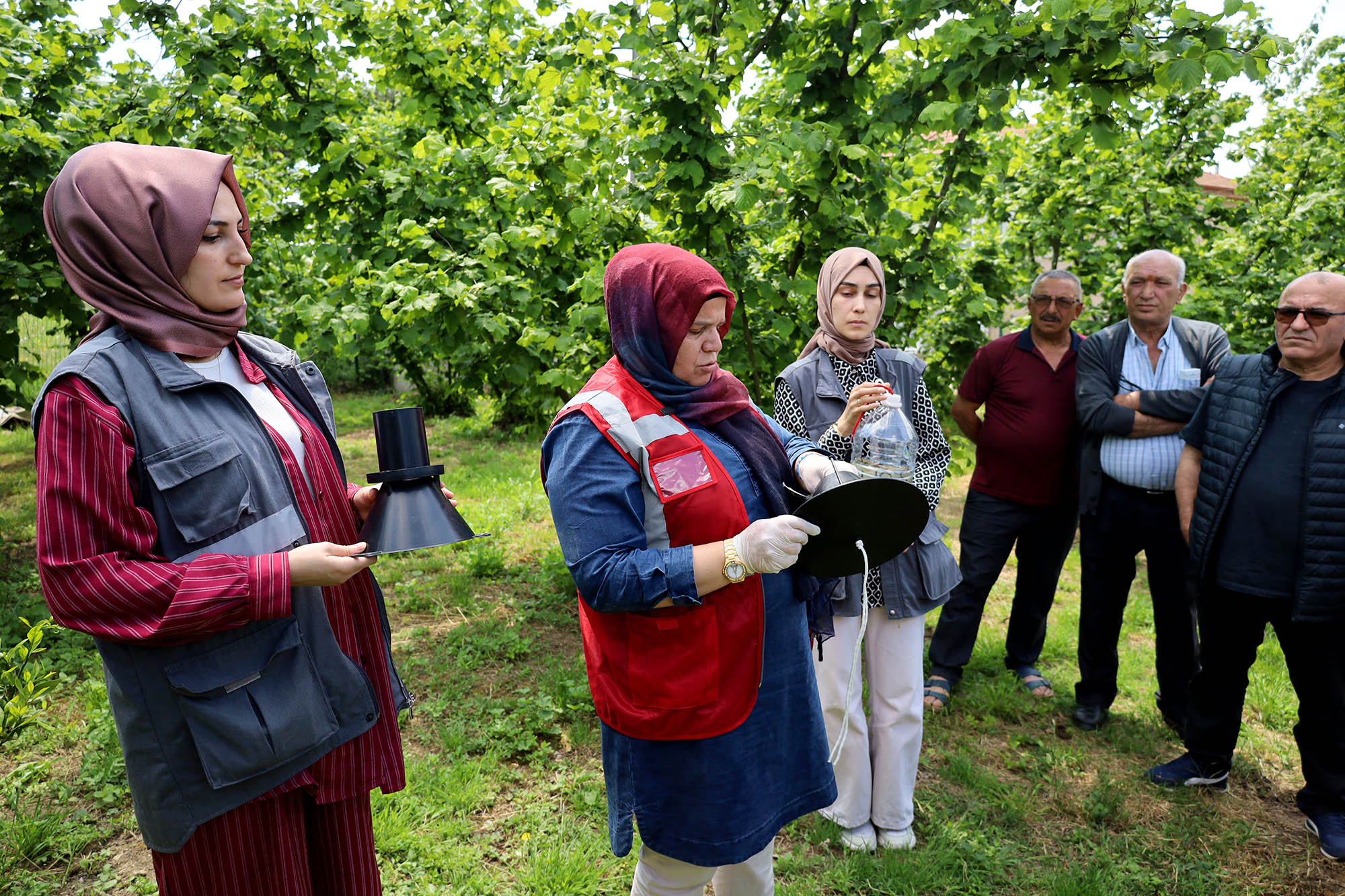 Sakarya’da kahverengi kokarca kabusuyla mücadele başladı: Büyükşehir ekibi sahada çiftçilere feromon tuzağı ulaştırıyor