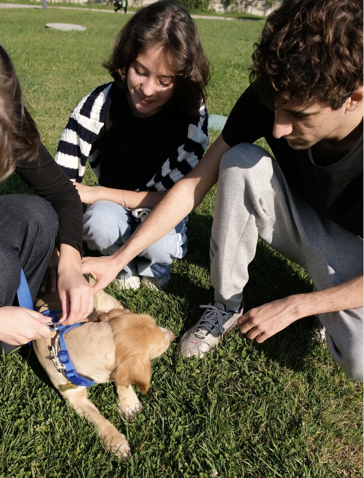 Sakarya’da sevgiyle büyüyen bir başarı hikâyesi…