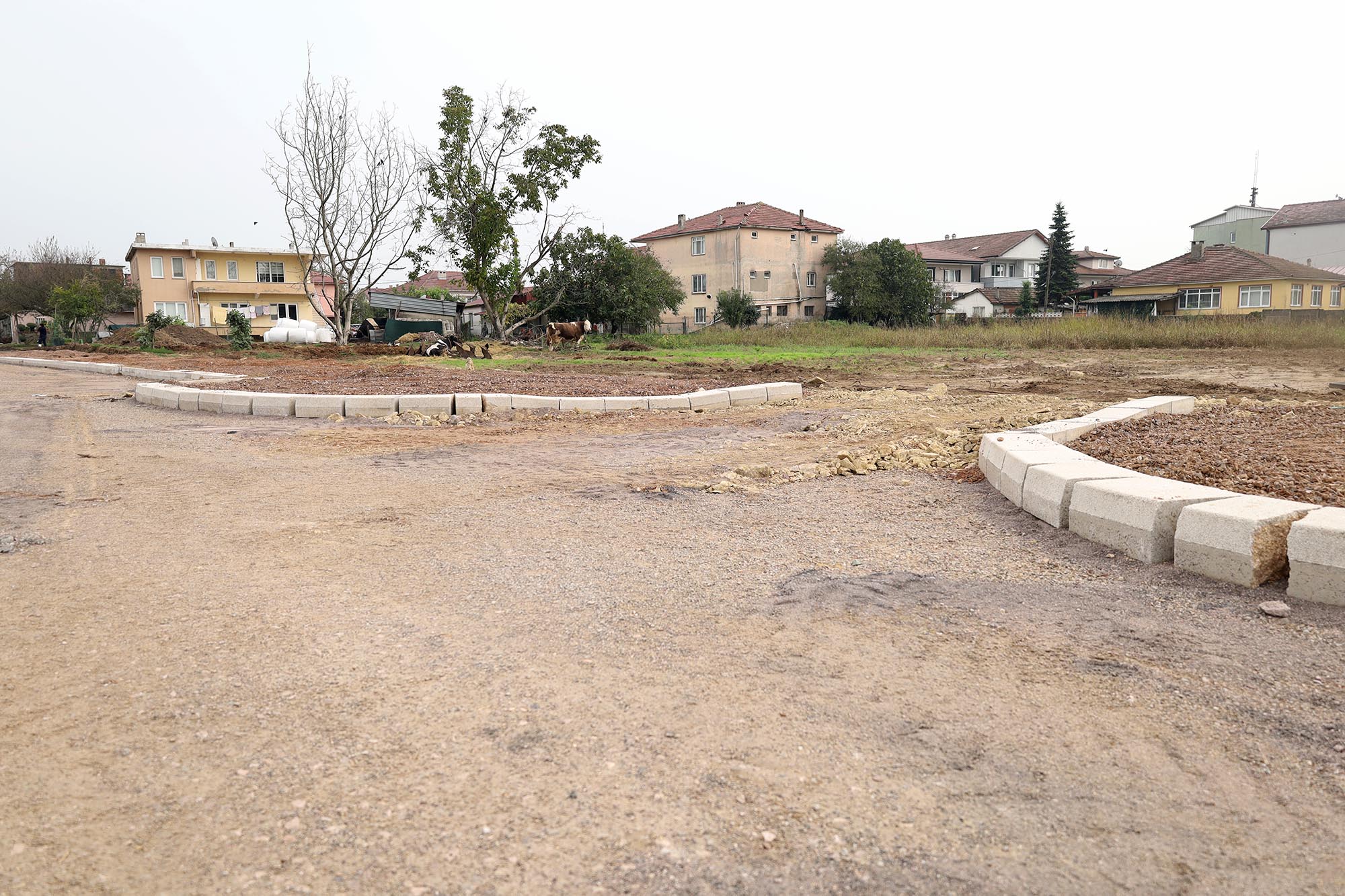 Hanlı-OSB duble yolunda önce kaldırım ve bisiklet yolu, ardından asfalta geçilecek