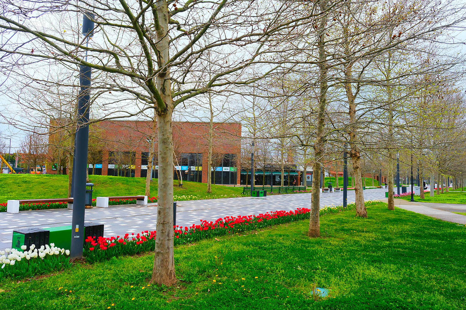 Sakarya’da baharın büyüleyici cümbüşü