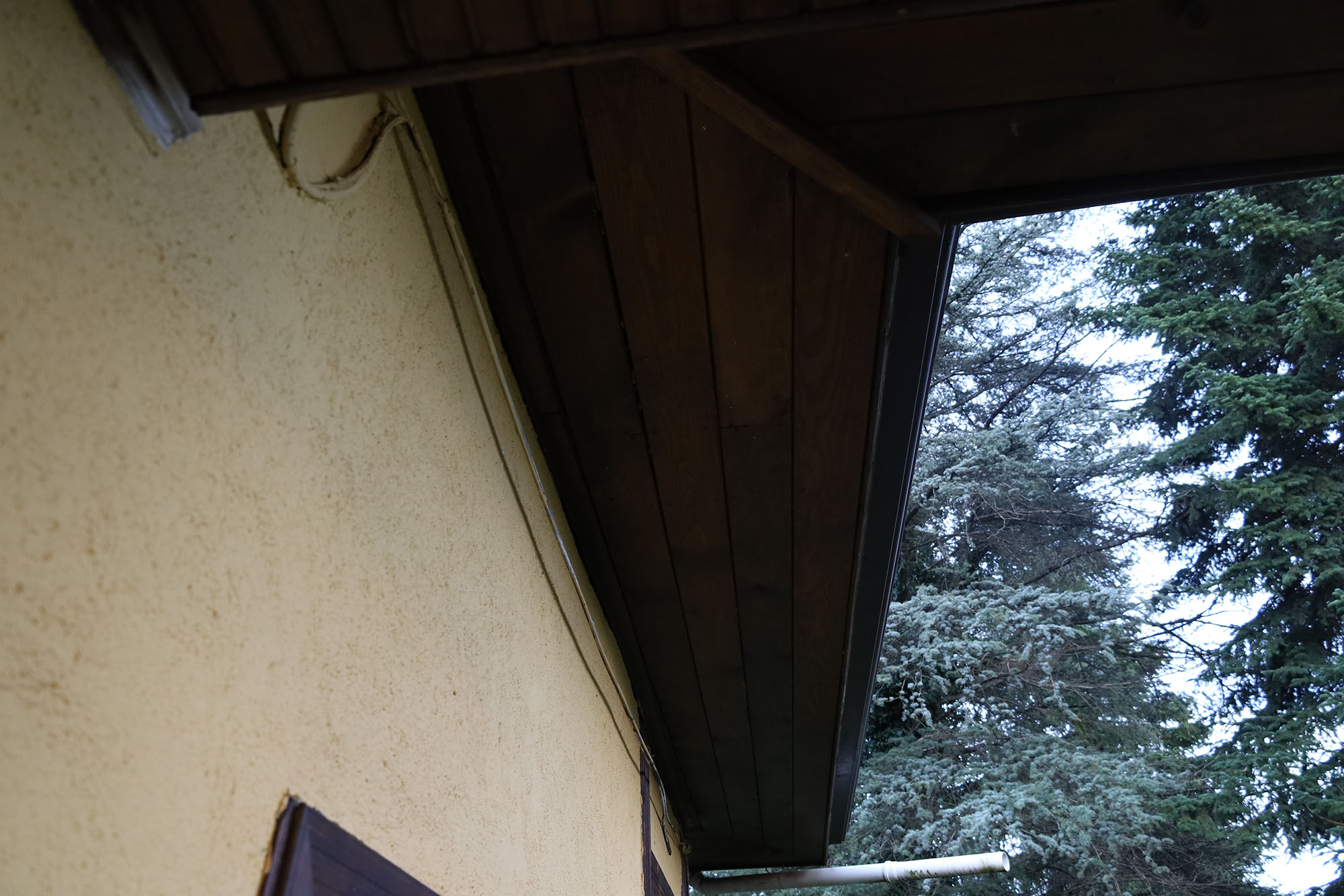 Evi görünce terk etmeyi düşündü: Binlerce kokarcanın istila kabusunu TUTSAK bitirdi