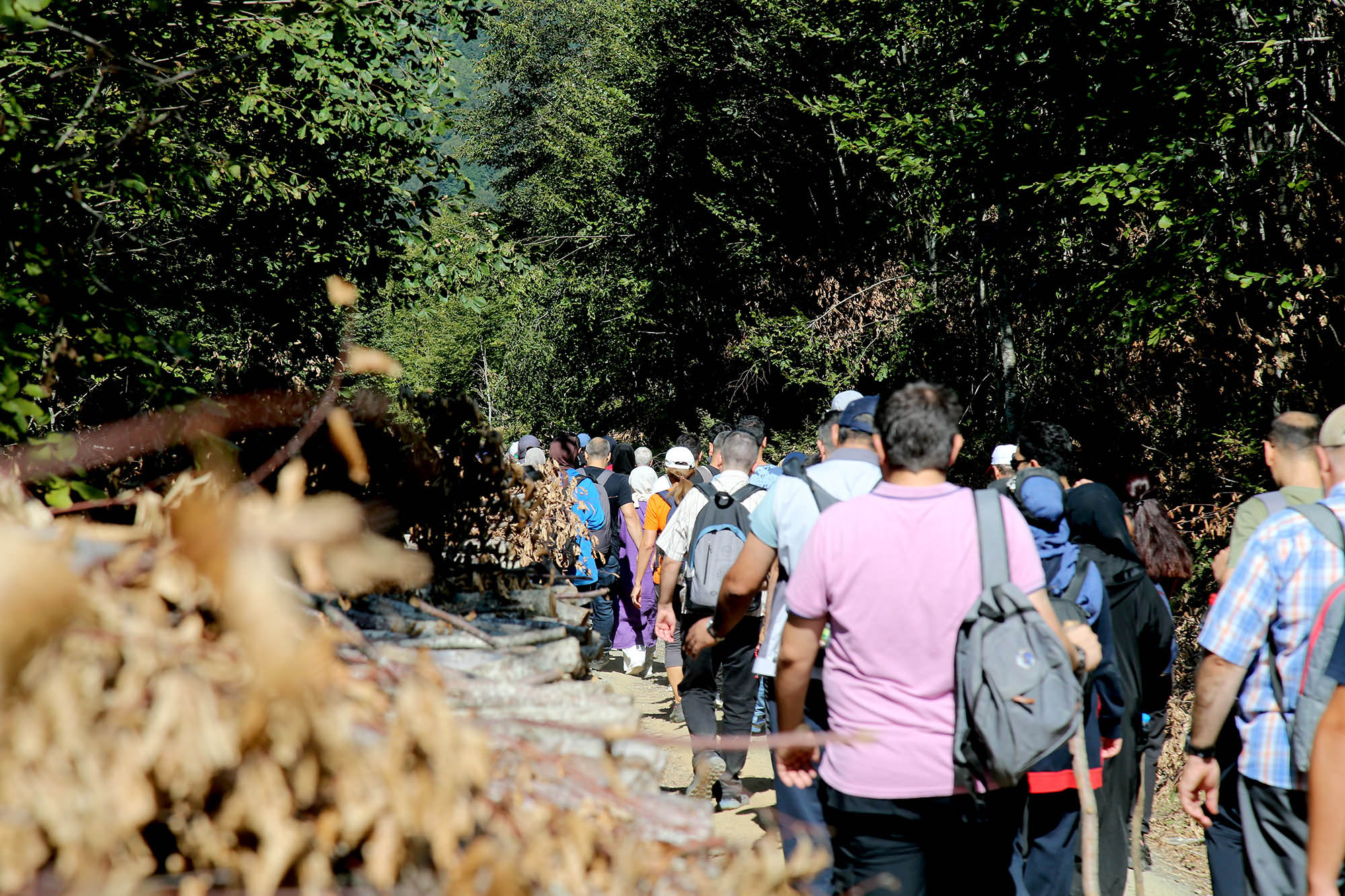 Büyükşehir’in eşsiz doğa keşfi için takvim belli oldu