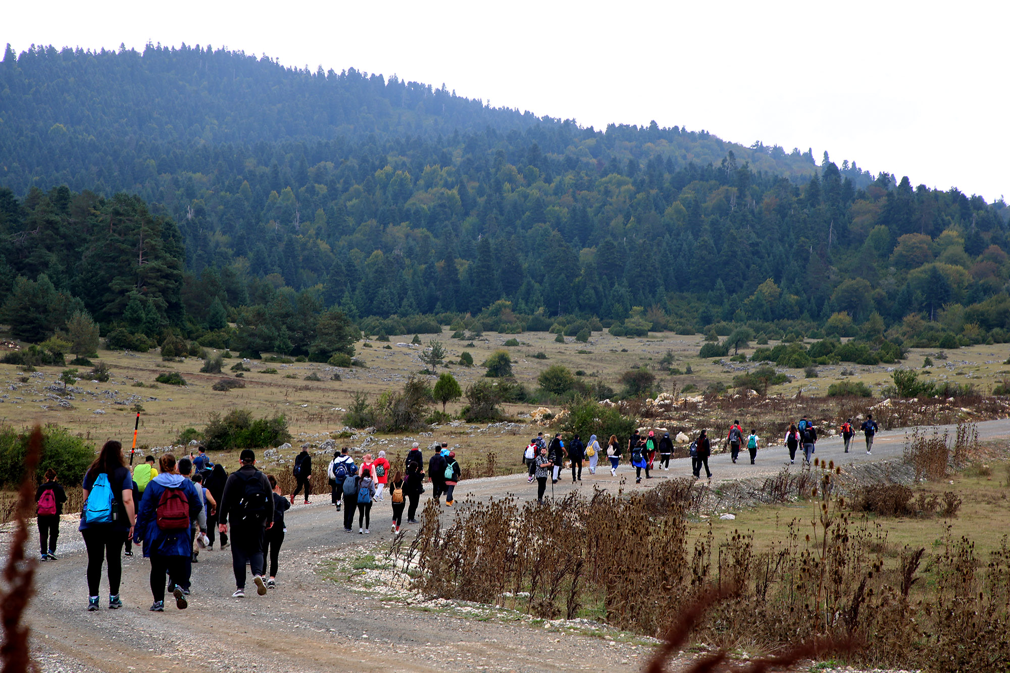 Büyükşehir’in eşsiz doğa keşfi için takvim belli oldu