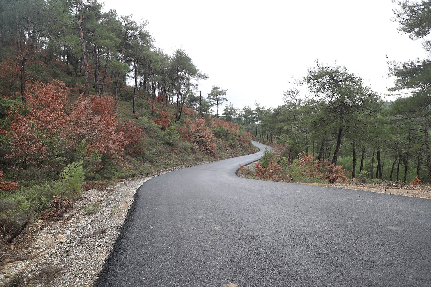 Şehrin en uzak noktasında Büyükşehir var