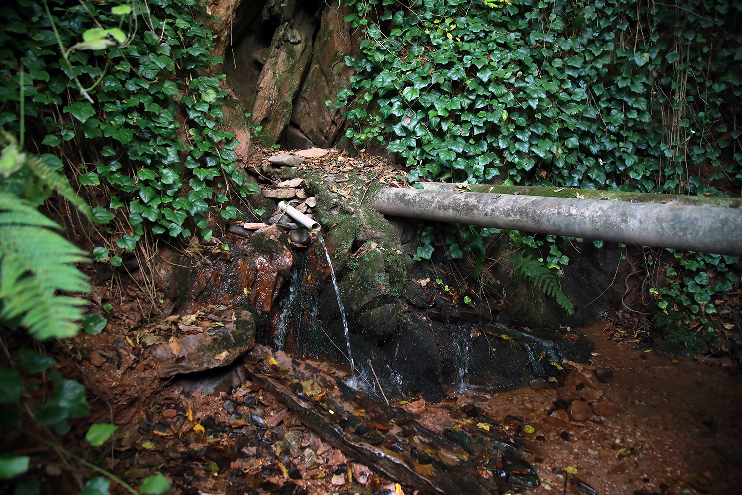 Hendek’in iki mahallesi kaynak suyu içecek