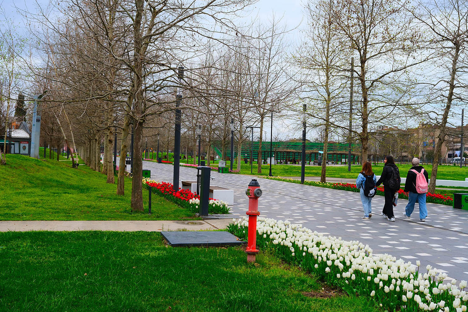 Sakarya’da baharın büyüleyici cümbüşü