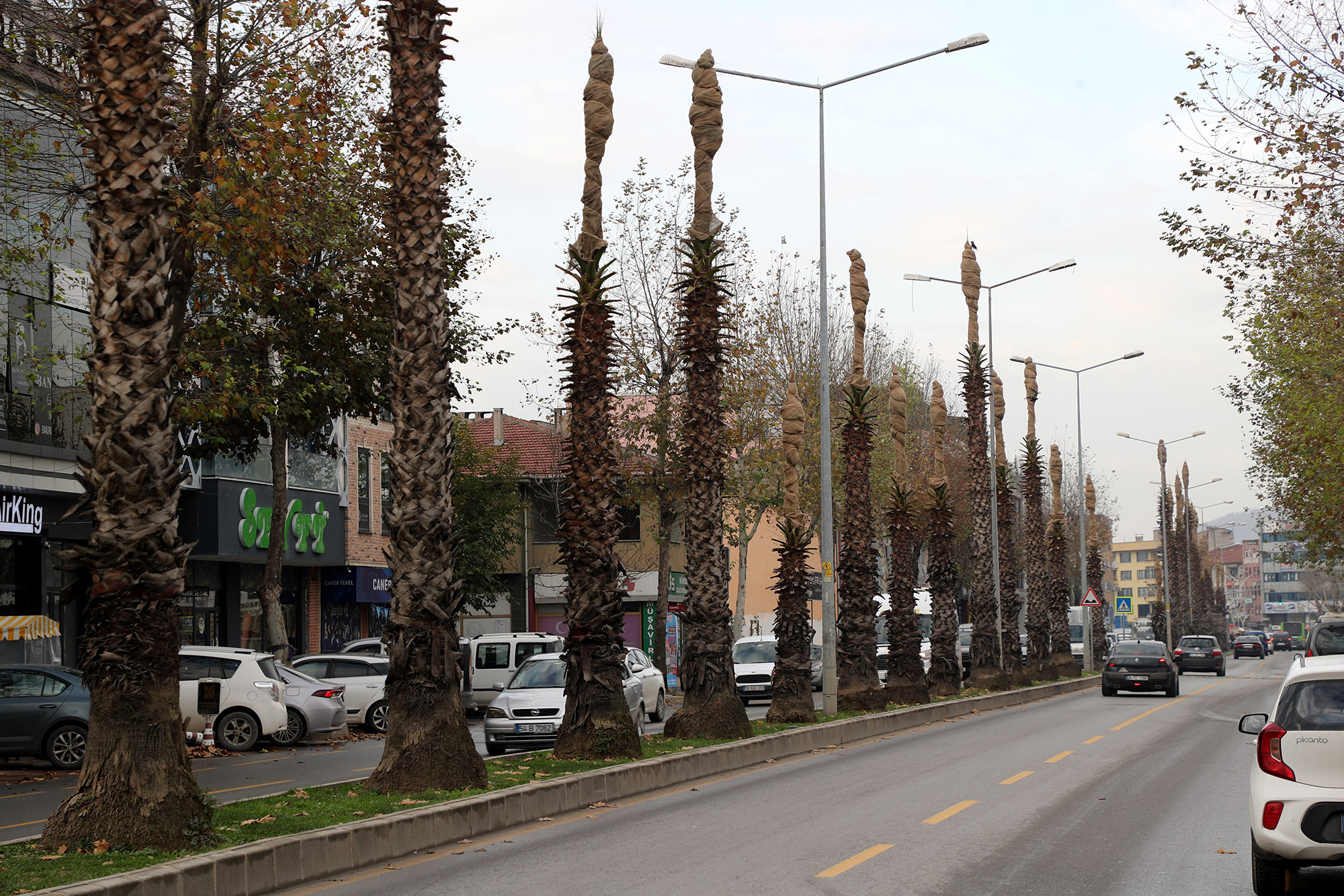 Büyükşehir yeşil cenneti teknolojiyle koruyor: 3 boyutlu tomografi cihazı olası faciaları da önleyecek