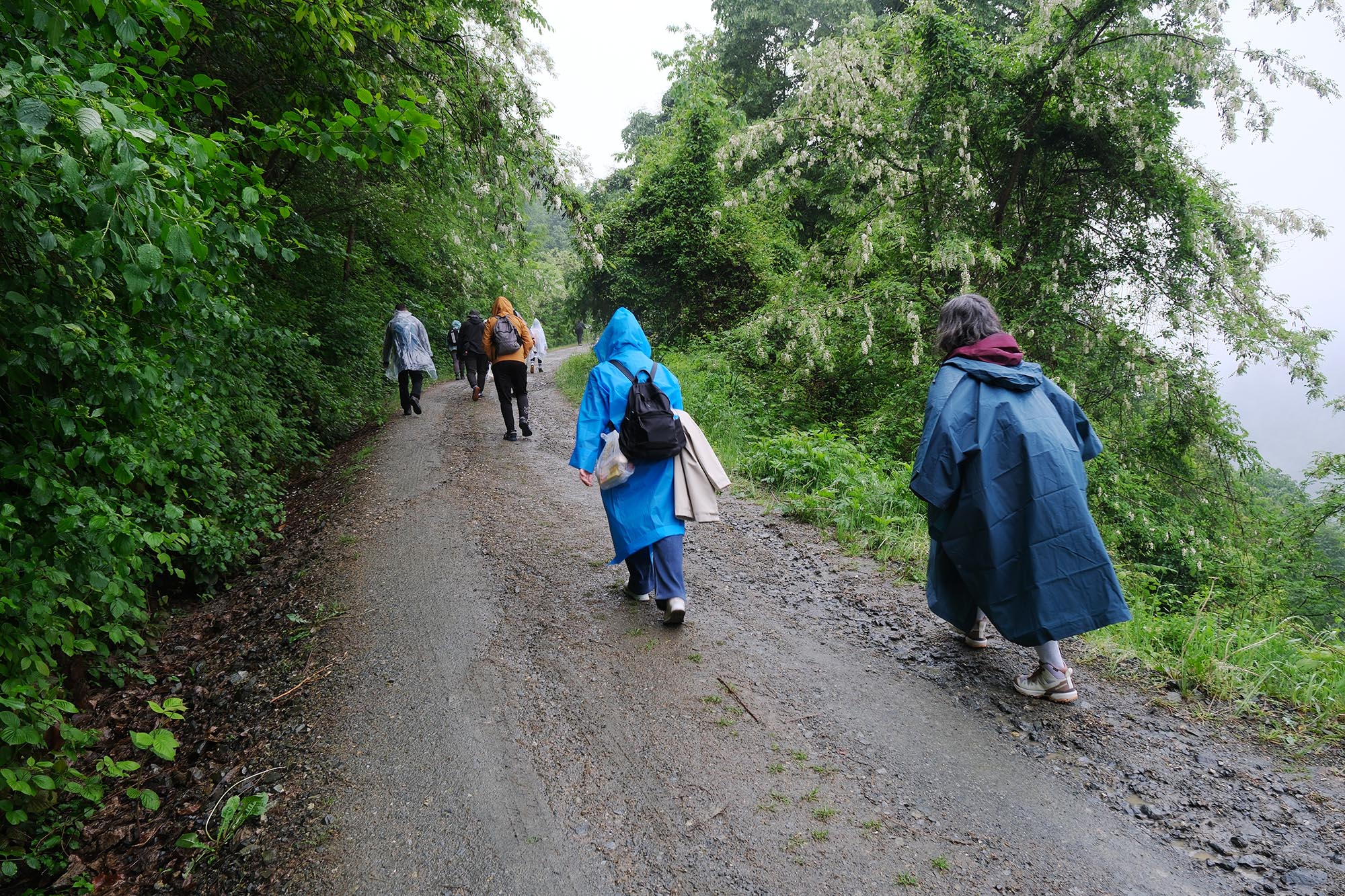 Doğanın kalbinde stresten izole bir gün: Zorlu parkur Doğançay Şelalesi’ne çıktı