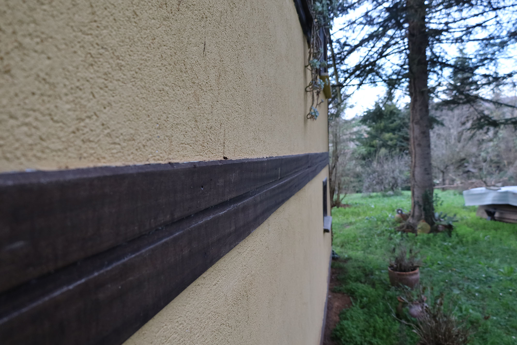 Evi görünce terk etmeyi düşündü: Binlerce kokarcanın istila kabusunu TUTSAK bitirdi