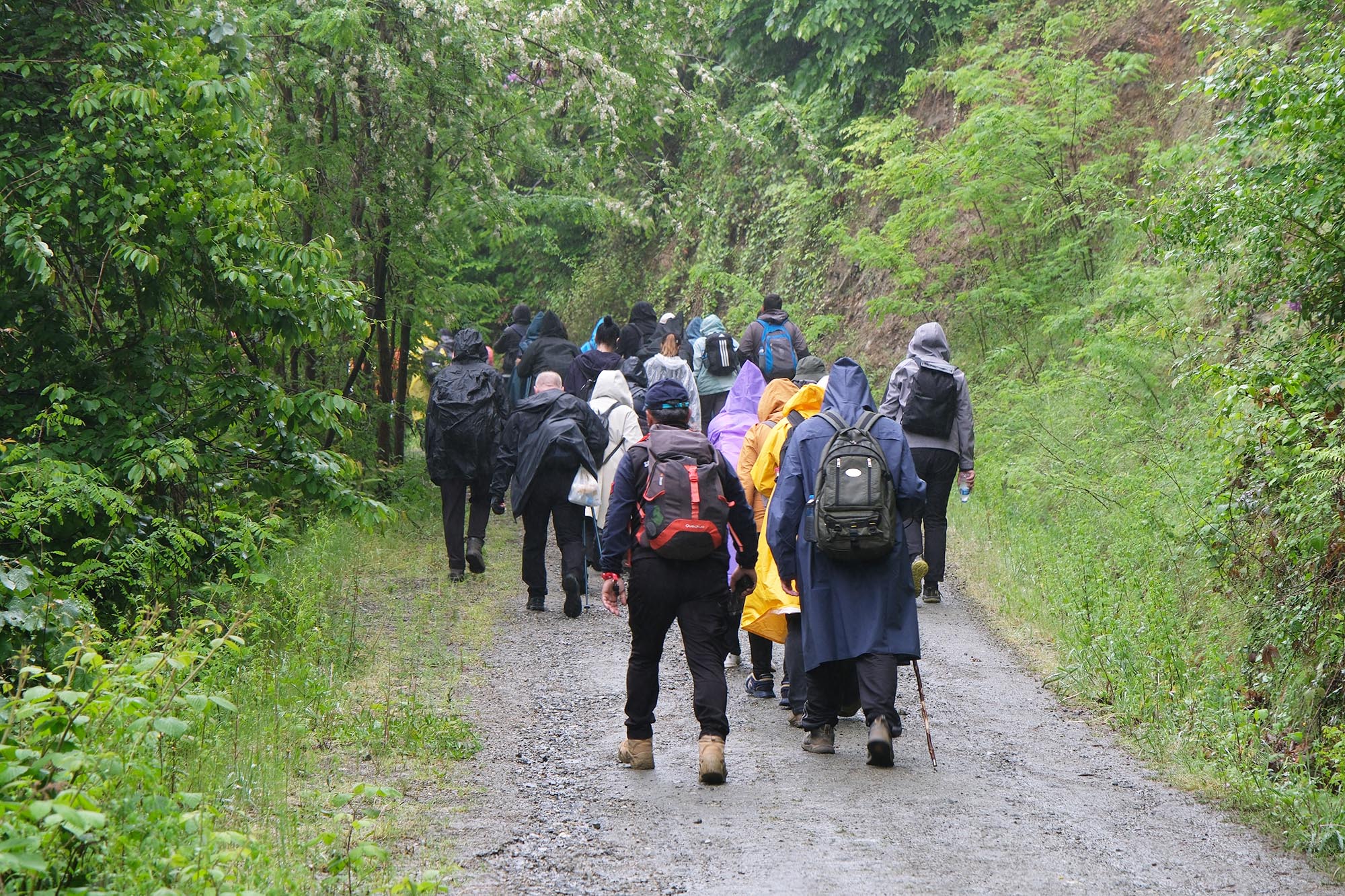 Doğanın kalbinde stresten izole bir gün: Zorlu parkur Doğançay Şelalesi’ne çıktı