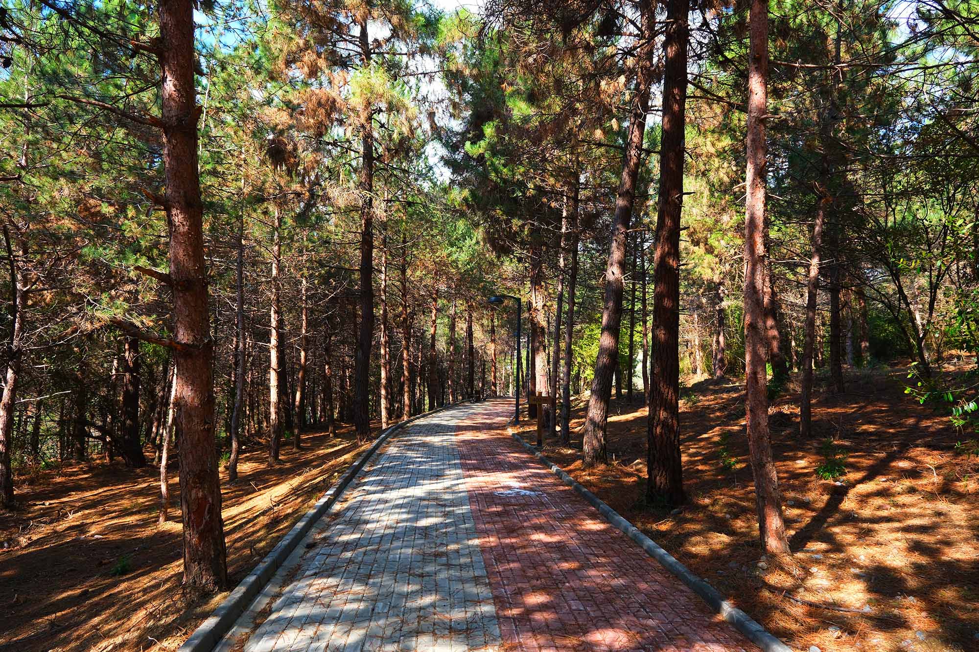 Sapanca Gölü kıyısında ‘huzur veren’ doğa projesi kapılarını açtı