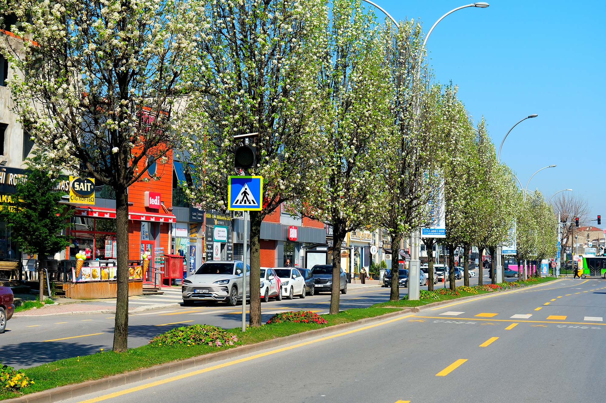 Sakarya’da baharın büyüleyici cümbüşü