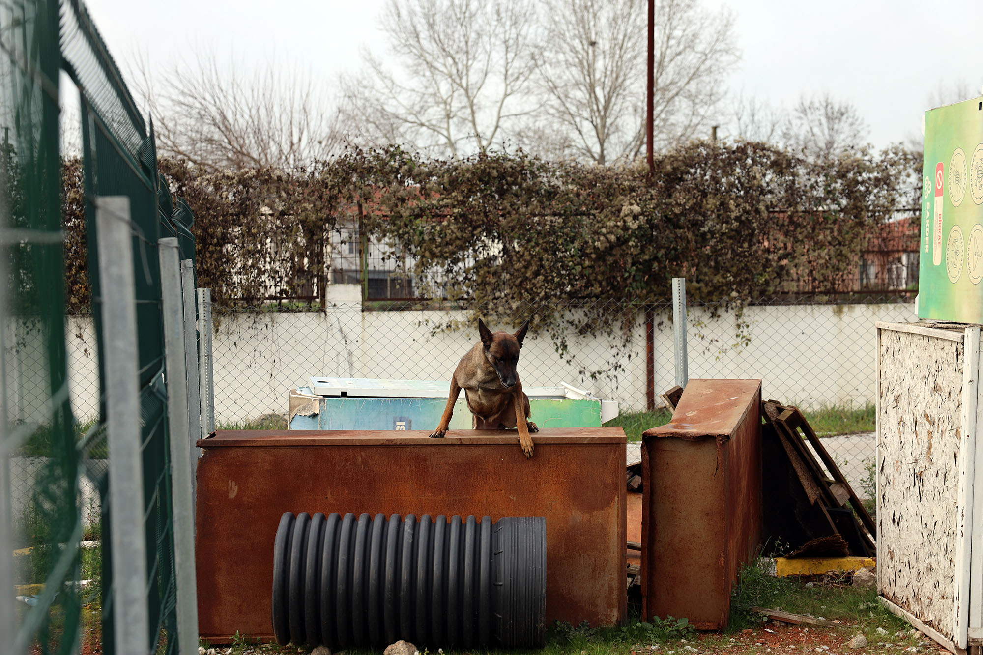 Reina, Ateş, Google ve Qill en zor anda ‘umut’ olmak için hep hazır kıta