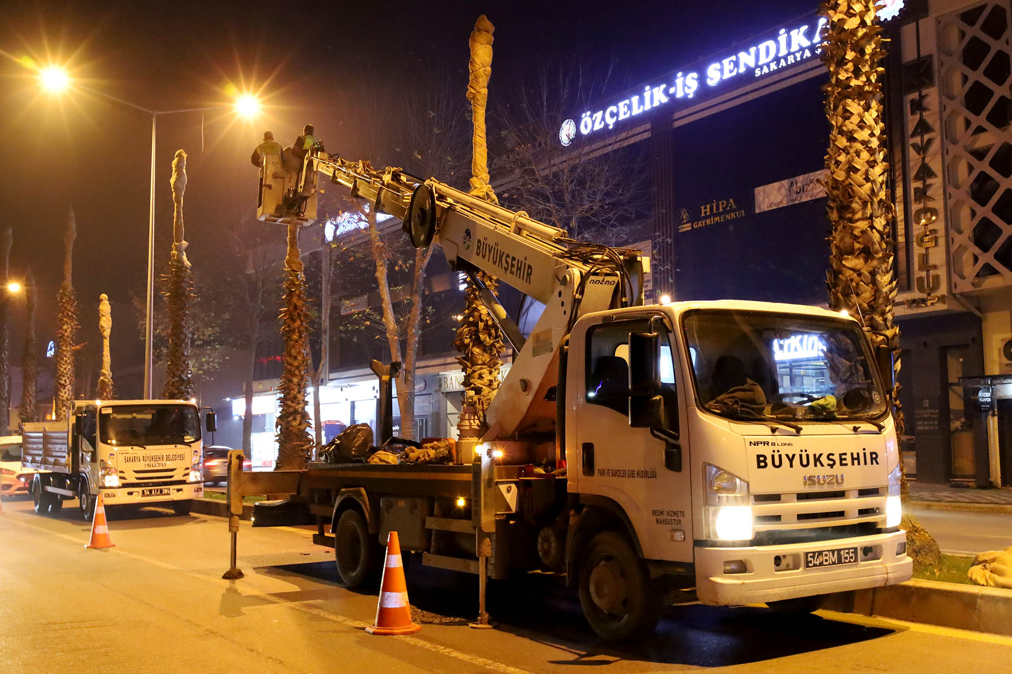 Büyükşehir’den şehrin süsü palmiyeler için dondurucu soğuklara karşı özel önlem