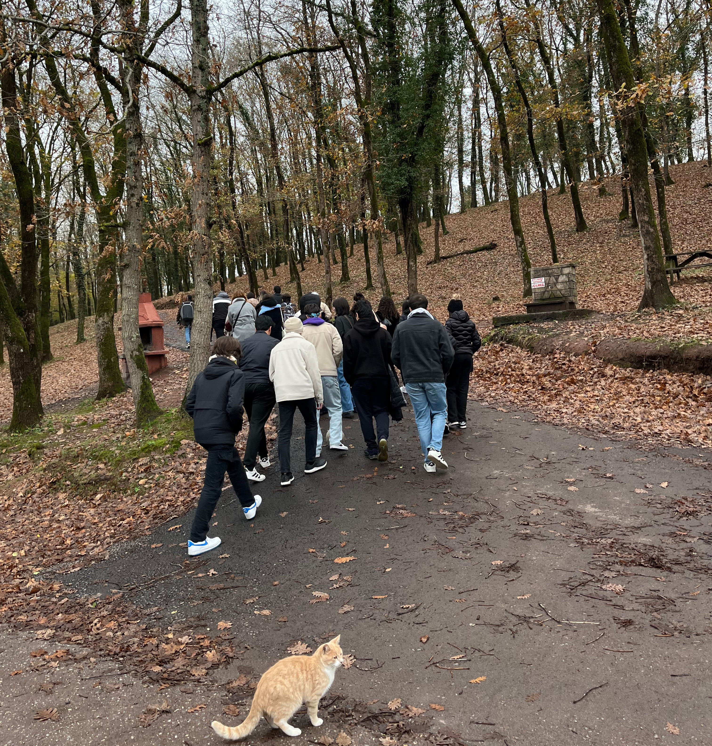 Sonbaharın büyüleyici tonları arasında Sapanca, Poyrazlar ve Karadeniz keşfi