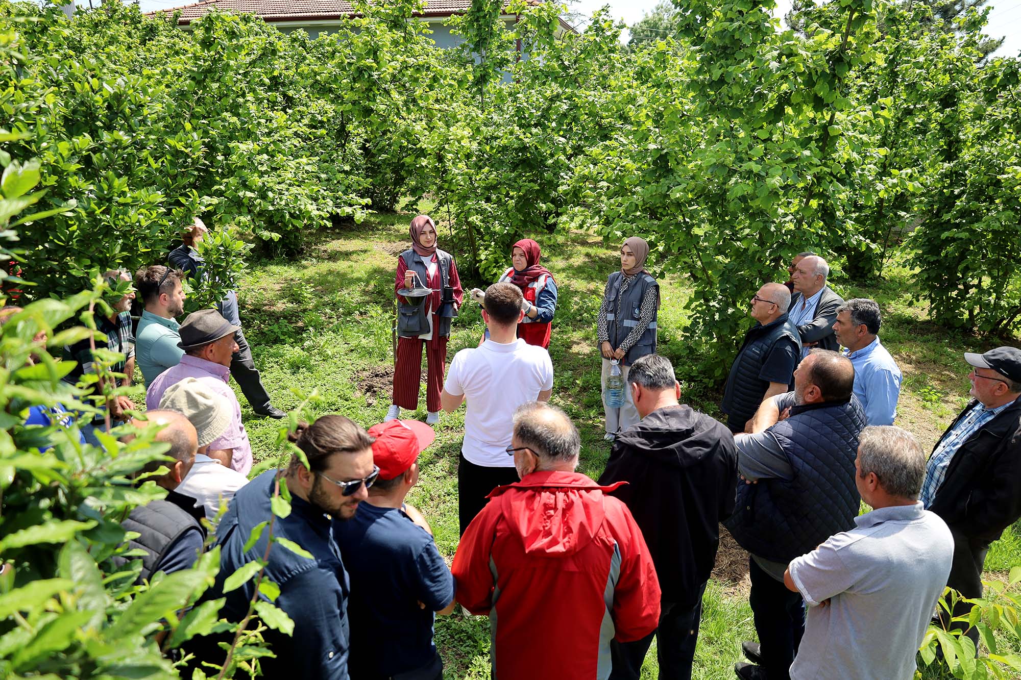 Büyükşehir 2025’te çiftçinin toprağına umut ekti