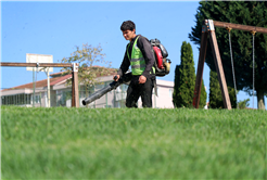 Büyükşehir’den şehrin dört bir yanına sonbahar dokunuşu