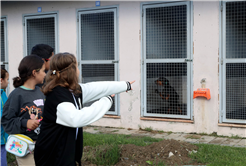 Büyükşehirle unutulmaz bir gün: Can dostların yaşam serüveni, bir yudum suyun önemi ve maceraya yolculuk