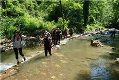 Türkiye’nin yeşil cenneti içinde büyüleyici bir yolculuk: Geriye masal gibi fotoğraflar kaldı