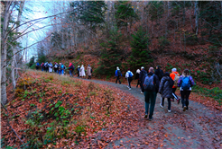 Sonbaharın büyüleyici renkleri arasında 14 kilometrelik unutulmaz rota