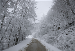 Kartpostal tadında bir gün: Beyaz rüya Sakarya’ya çok yakıştı