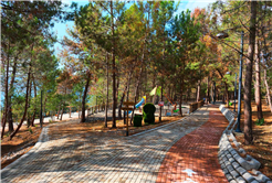 Sapanca Gölü kıyısında ‘huzur veren’ doğa projesi kapılarını açtı