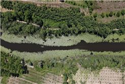 Doğanın kalbi Sakarya’da attı: İki yeşil noktaya 605 bin ziyaretçi