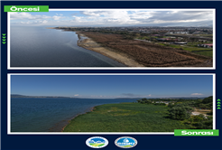 Zehirli sazlıklar gitti, Sapanca Gölü kıyısını şimdi tertemiz sazlıklar süsledi