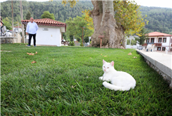 Şehrin turizm rotası Taraklı’ya 4 ayrı projeyle yepyeni bir yüz: Yeni yaşam alanları hızla tamamlanıyor