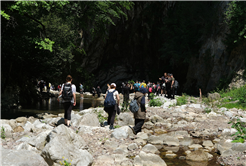 Türkiye’nin yeşil cenneti içinde büyüleyici bir yolculuk: Geriye masal gibi fotoğraflar kaldı