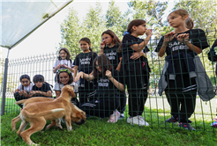 2024’te can dostların derdine deva hastalığına şifa oldular: Kedi, köpek, tavşan, sincap…