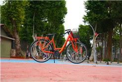 2025’te Sakarya’da TUBİS, SAKBİS ve TRİPY’ye yoğun ilgi