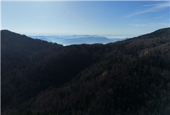 Sonbaharın büyüleyici renkleri arasında 14 kilometrelik unutulmaz rota