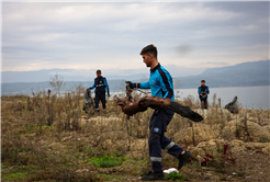 Sapanca Gölü kıyılarında ekosistemi koruyan temizlik çalışması sürüyor