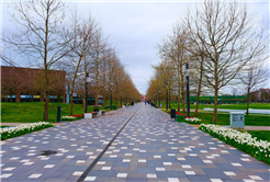 Sakarya’da baharın büyüleyici cümbüşü