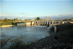 SASKİ 716 bin ağaç dikimine eş değer üretim ile 114 milyon liralık gelir elde etti