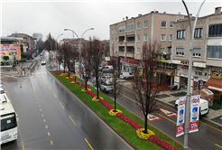 Sakarya bayram için Büyükşehirle çiçek açtı: Bayramı da baharı da rengarenk karşılıyor