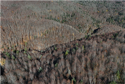 Sonbaharın büyüleyici renkleri arasında 14 kilometrelik unutulmaz rota
