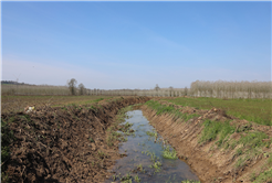 Büyükşehir’den tarıma can suyu: Çiftçinin yüzü gülüyor